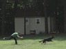 Training is a snap